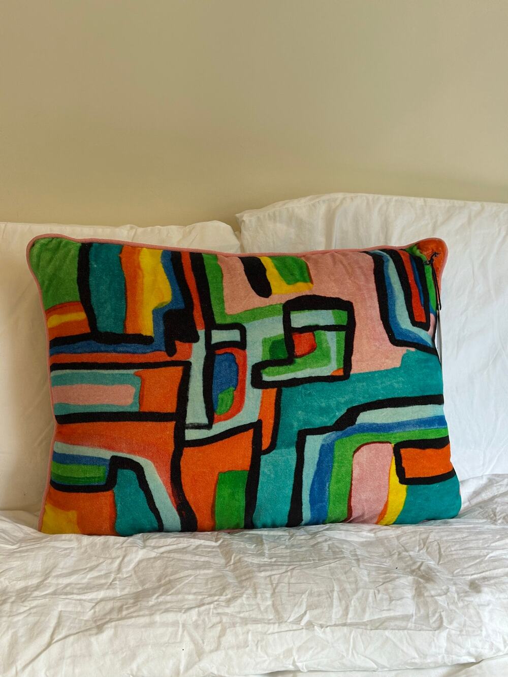 Pop Art Abstract Velvet Lumbar Throw Pillow 14x20 Multicolor Black Back NWT